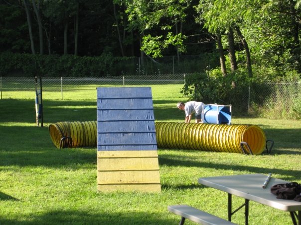 Membership - Shaggy Pines Dog Park